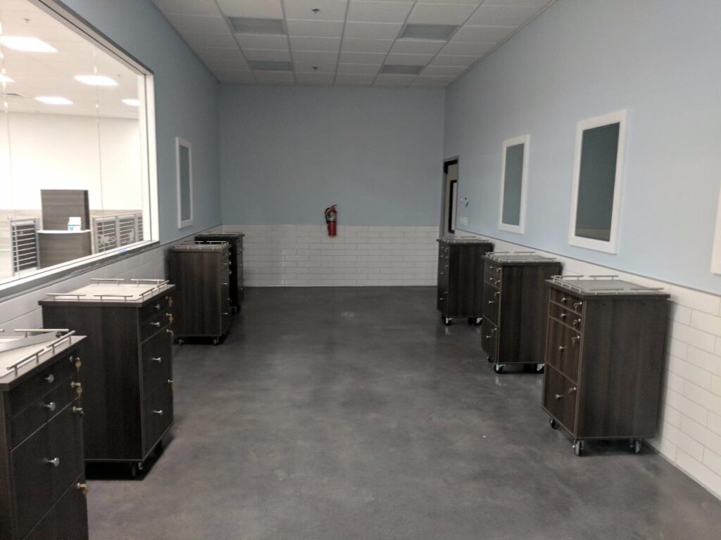 Dog Grooming 2